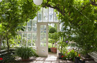 free Rothwell Haigh orangery quotes